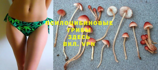 шишки Балахна