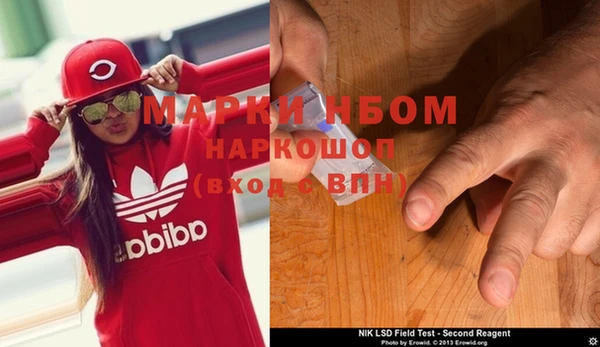 индика Семилуки