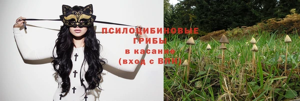 хмурый Армянск