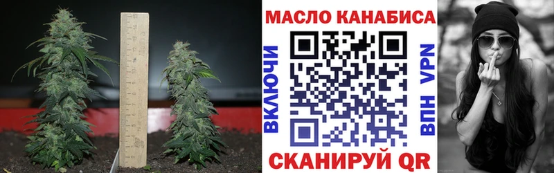 Купить где  Тотьма  Дистиллят ТГК гашишное масло 