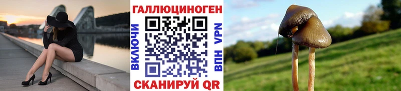 Галлюциногенные грибы Psilocybine cubensis  Купить  Тотьма 