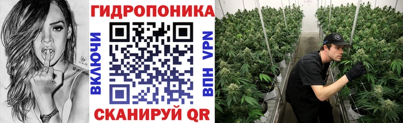 Купить где  Тотьма  Каннабис индика 
